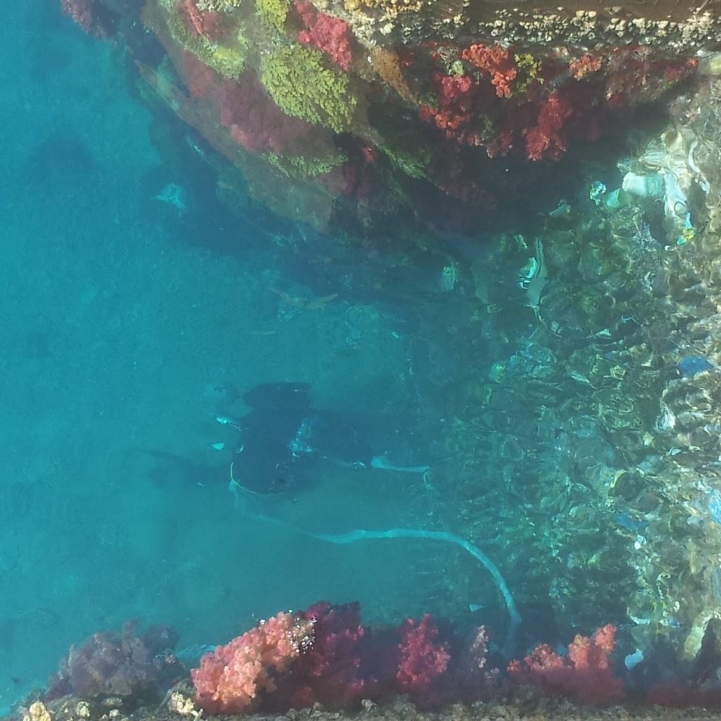 Barracuda Divers Clean Debris At Intake Gates Of The Central Electric Generating Company, Jordan