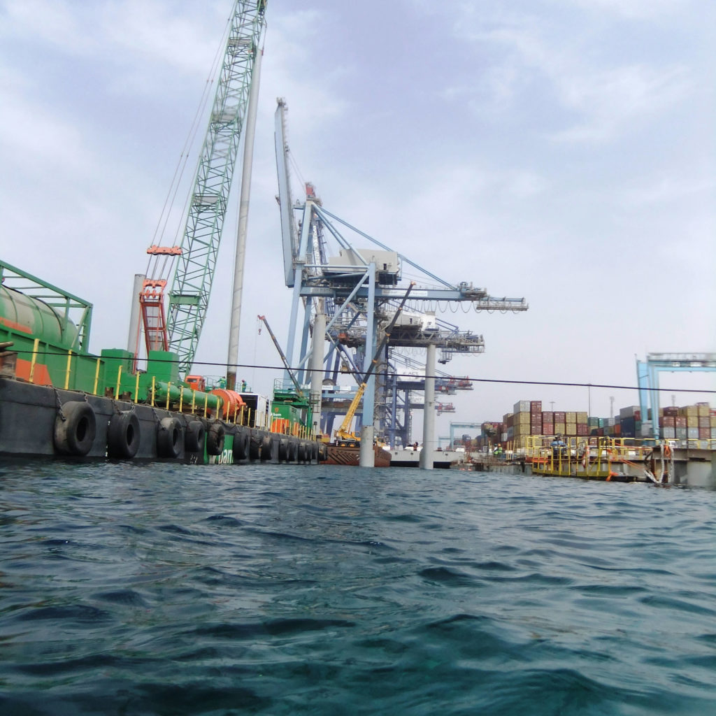 Barracuda Divers In The Water At Aqaba Container Terminal's Extension