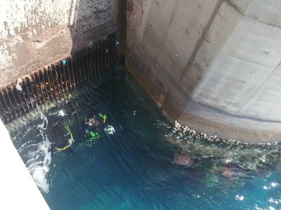 Gate Cleaning At At Central Electric Generating Company, Jordan