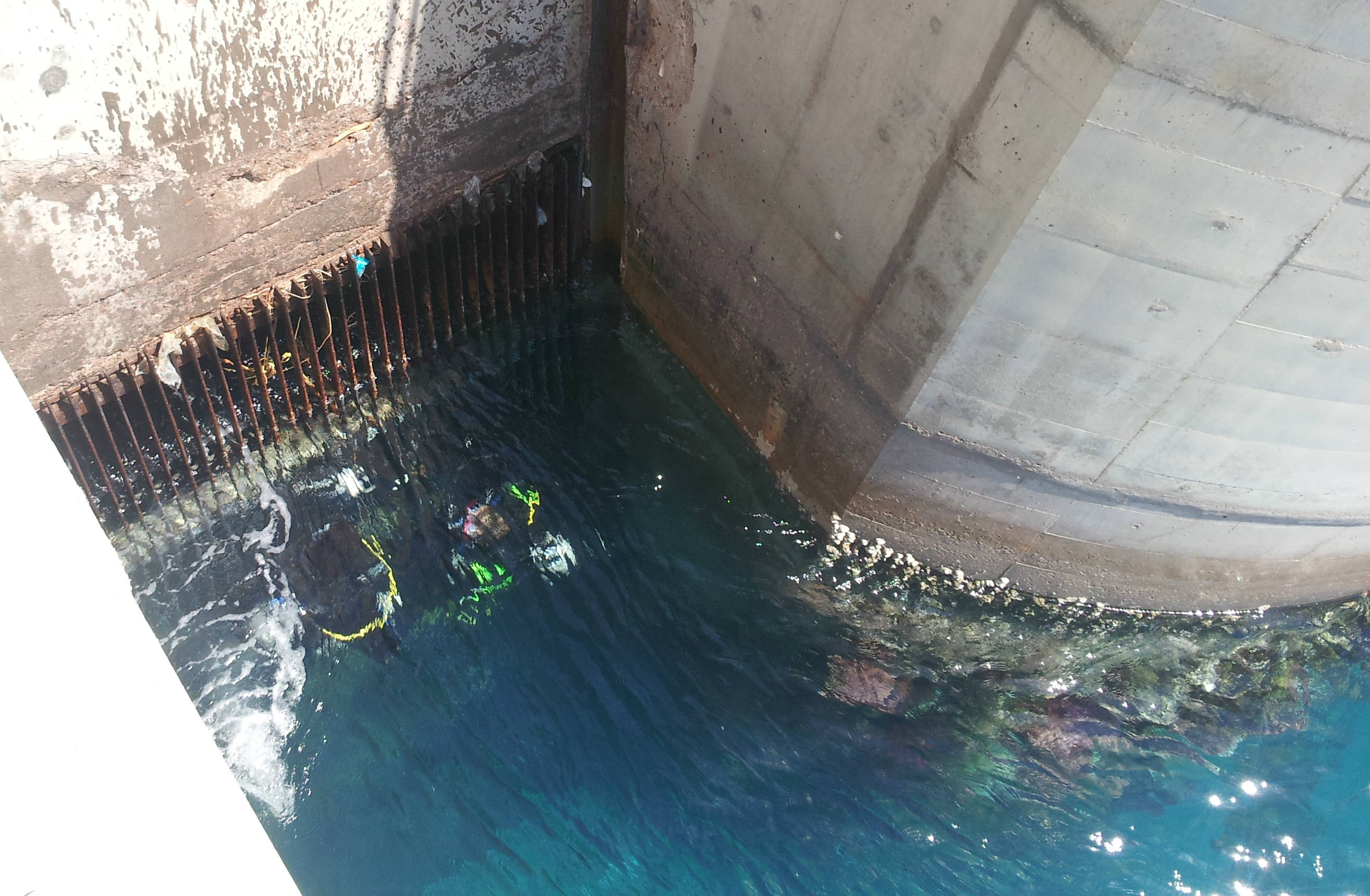 Gate Cleaning At At Central Electric Generating Company, Jordan