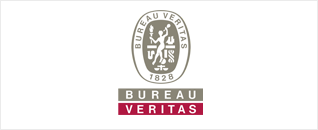 Bureau Veritas logo